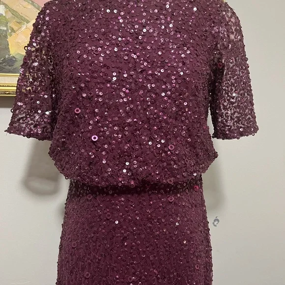 Adrianna Papell Beautiful beaded Gown Cassis Dress - Picture 3 of 4